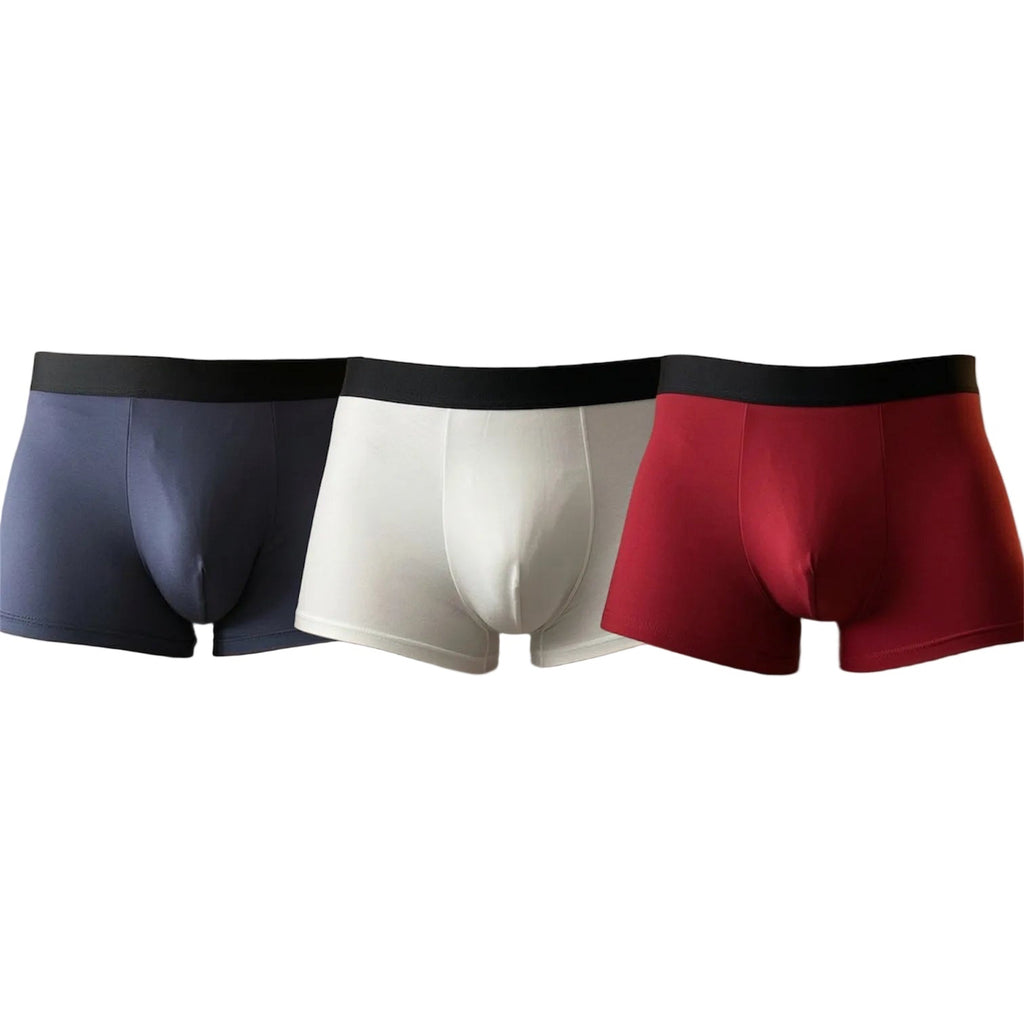Lots de 3 Boxers FRANCE